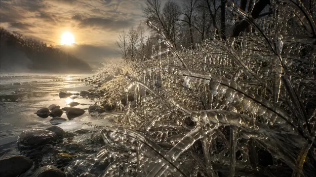 Ramitas congeladas y sol en la orilla del río al atardecer