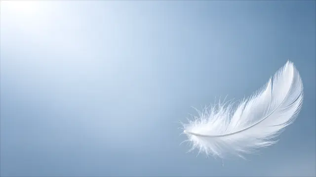 Pluma blanca sobre fondo azul degradado abstracto
