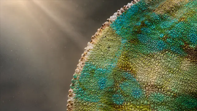 Macro detalle de una esfera con textura verde y azul