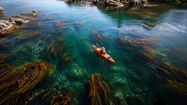 Kayak rojo en aguas turquesas con algas