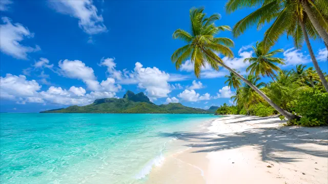 Fondo de pantalla 4K IA: Paisaje tropical con palmeras y mar turquesa