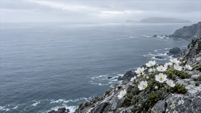 Flores blancas en acantilado costero con mar brumoso
