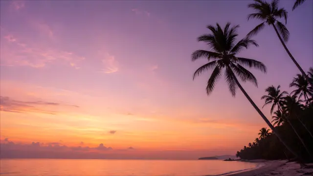 Atardecer tropical con palmeras en la playa