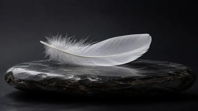 Pluma blanca sobre piedra pulida oscura