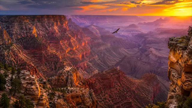 Atardecer en el Gran Cañón con águila volando