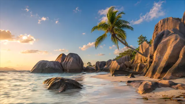 Playa tropical con gigantes rocosos y palmera al atardecer