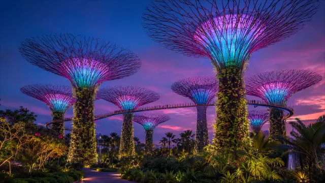 Supertrees de Gardens by the Bay al atardecer