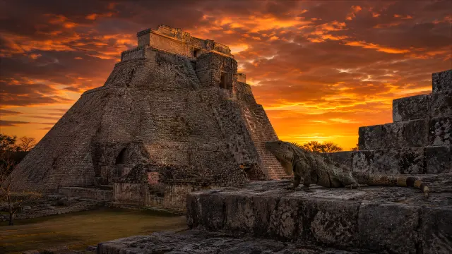 Iguana en pirámide maya al atardecer